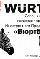 Саванные зебры под опекой ИООО «ВюртБел» Саванные зебры под опекой ИООО «ВюртБел»
